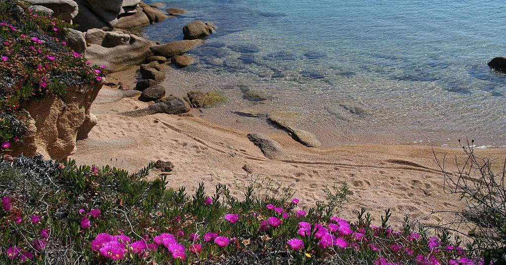 Appartamenti Galatea Palau Dış mekan fotoğraf