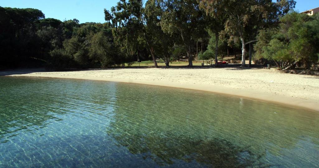 Appartamenti Galatea Palau Dış mekan fotoğraf